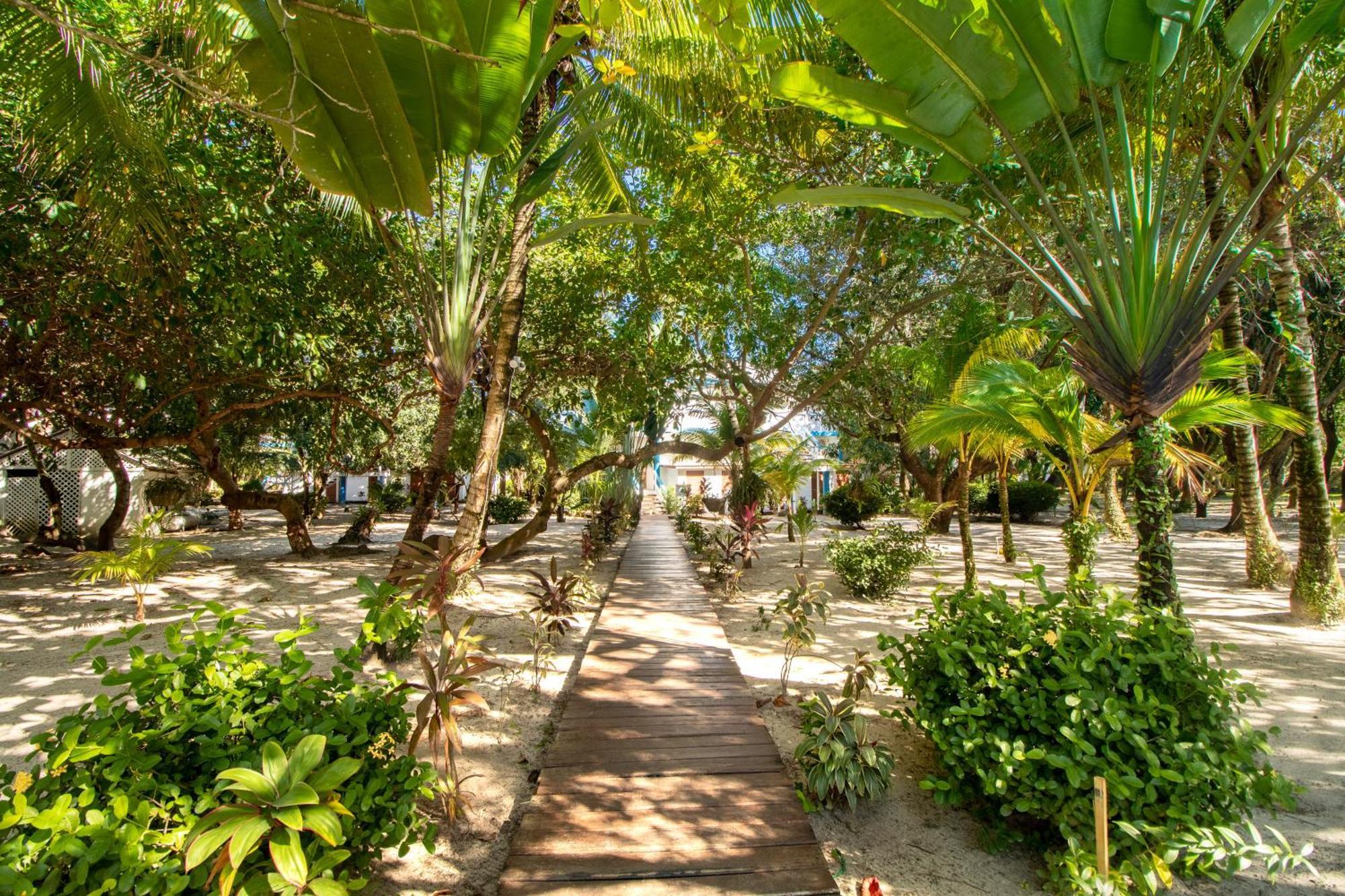 Beachside Villas Gold Standard Certified Placencia Cameră foto