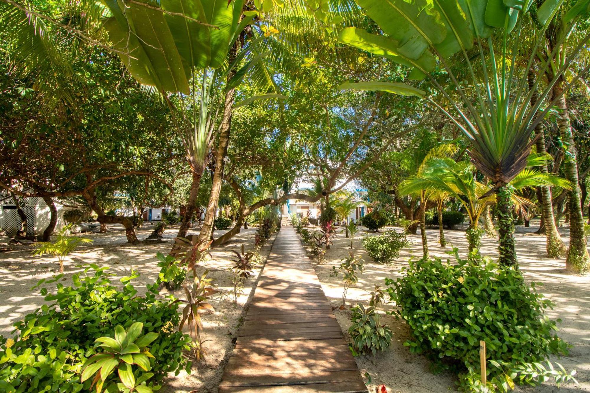 Beachside Villas Gold Standard Certified Placencia Cameră foto